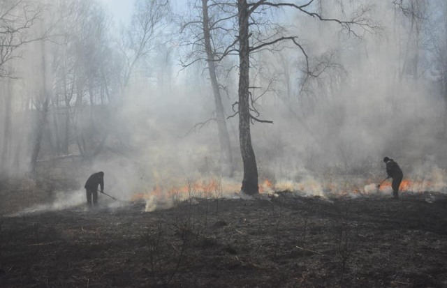 В Хакасии огонь уничтожил 11 гектаров леса