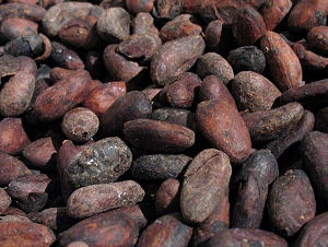 kakao bobi