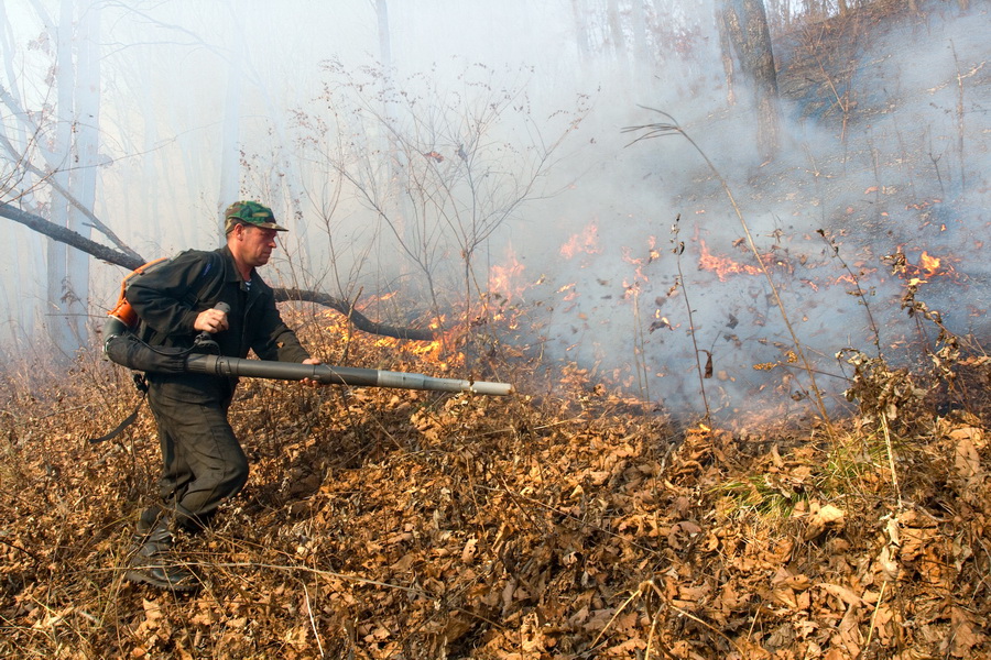 Огонь уничтожил 25 гектаров леса в Хакасии