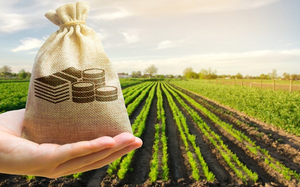 agrobiznes