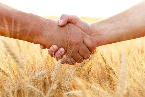 В Хакасии объявлен отбор на предоставление грантов для начинающих сельхозпотребкооперативов