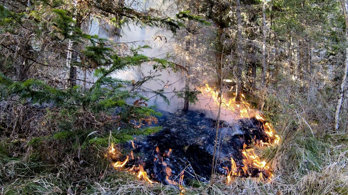 Первый лесной пожар ликвидирован в Хакасии
