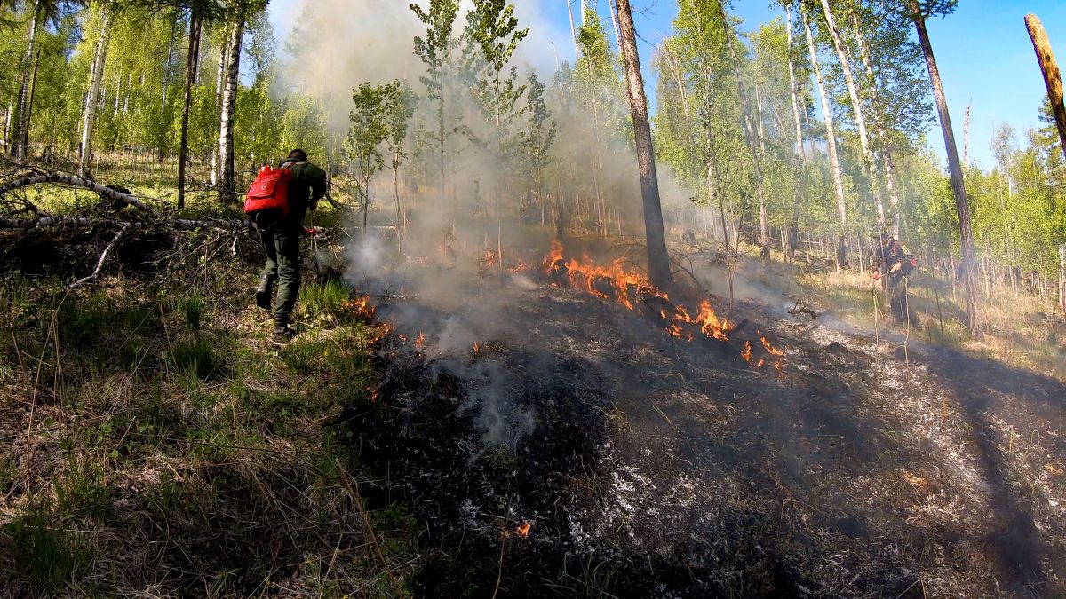 В Хакасии ликвидировали лесной пожар
