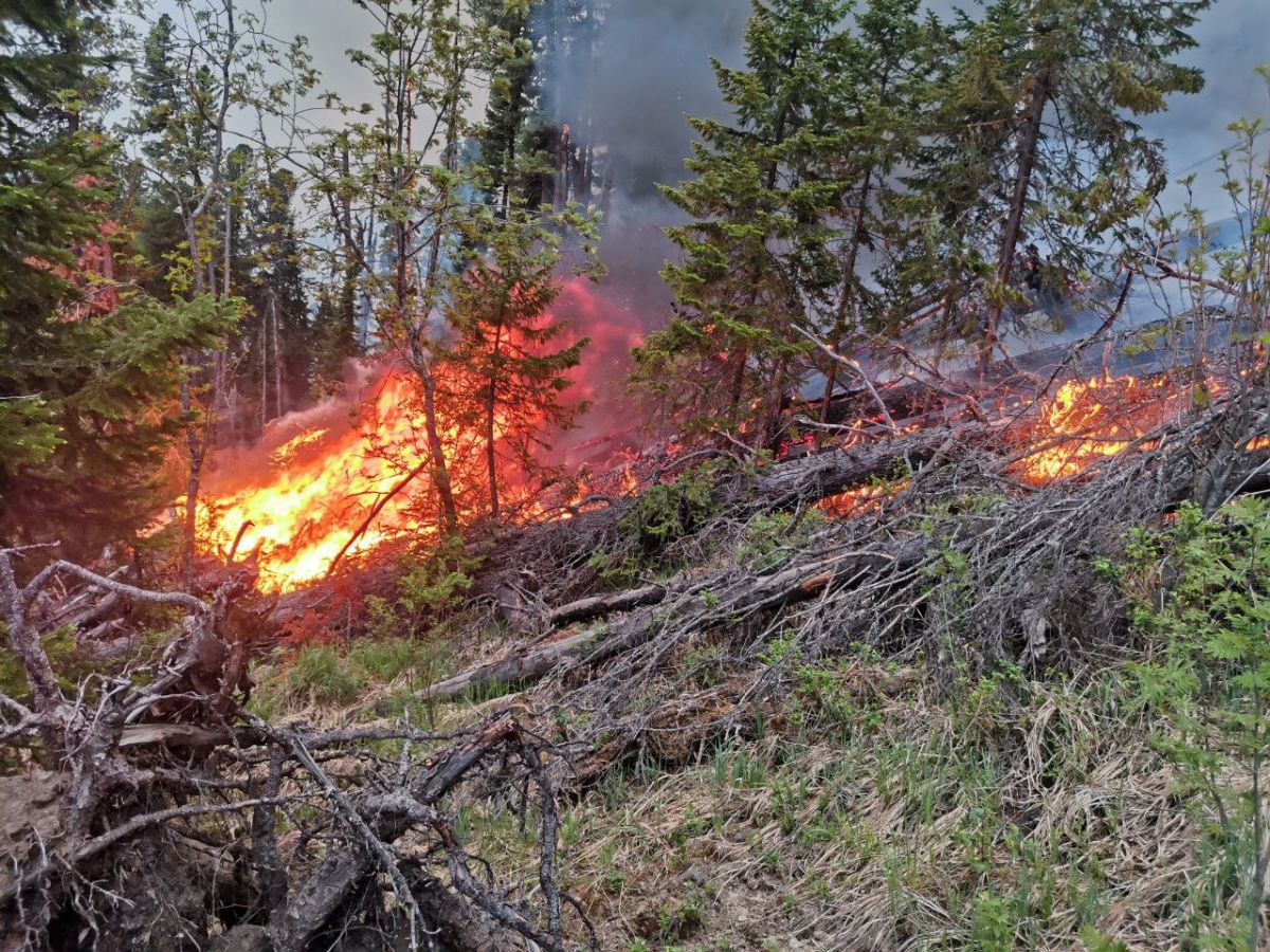 В Саяногорском лесничестве потушили крупный пожар