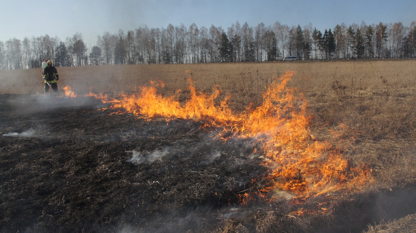 Жителей Хакасии предупредили об ответственности за поджигание травы