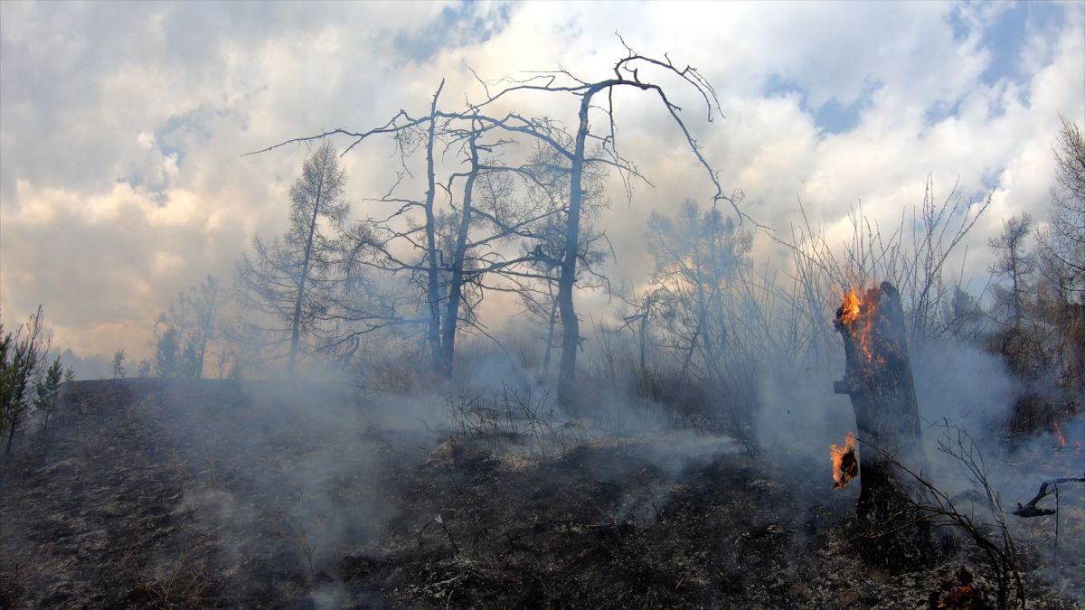 В Хакасии тушат два лесных пожара