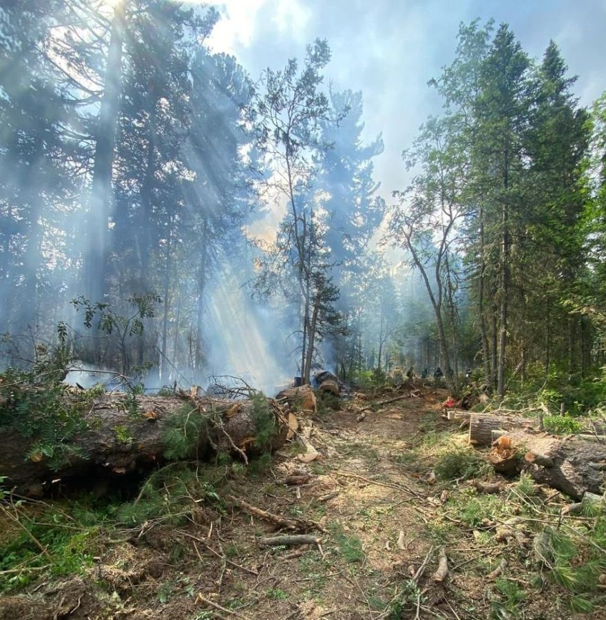 В Хакасии локализован лесной пожар на площади 60 гектар