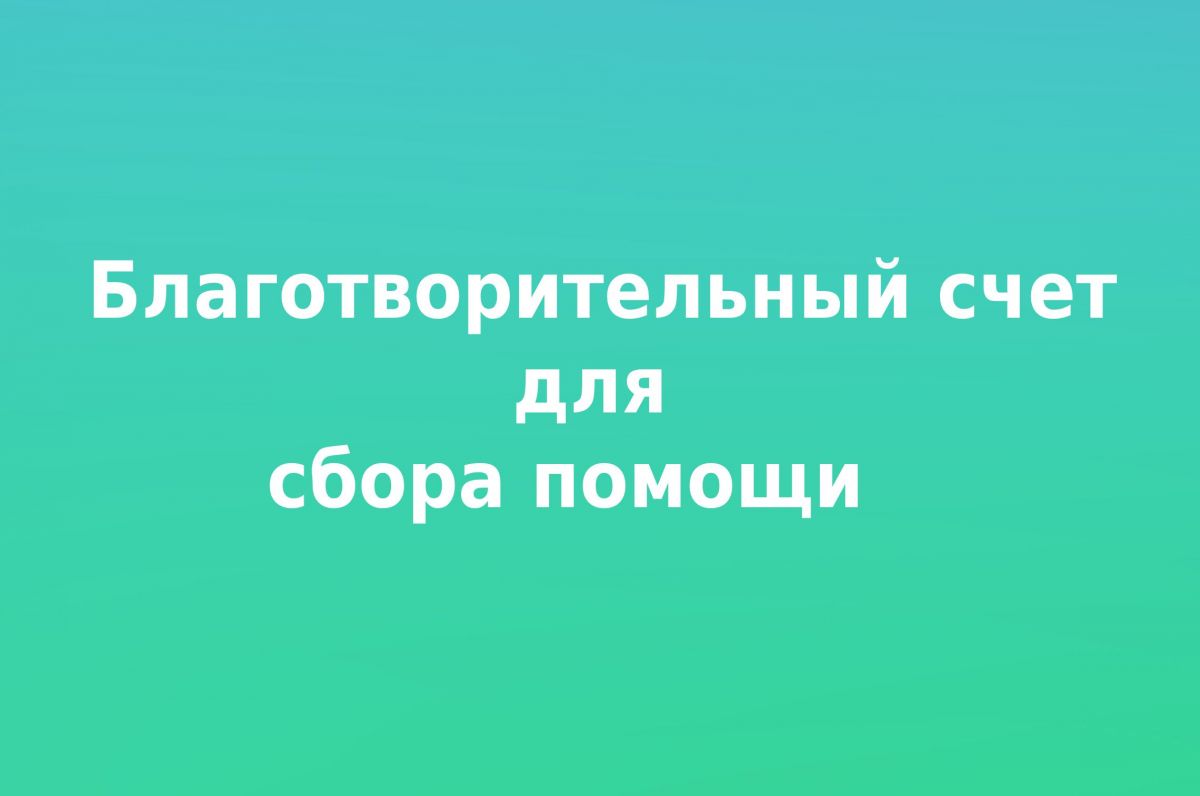 Сбор пожертвований для жителей ДНР и ЛНР открыт в Хакасии - НИА-Хакасия