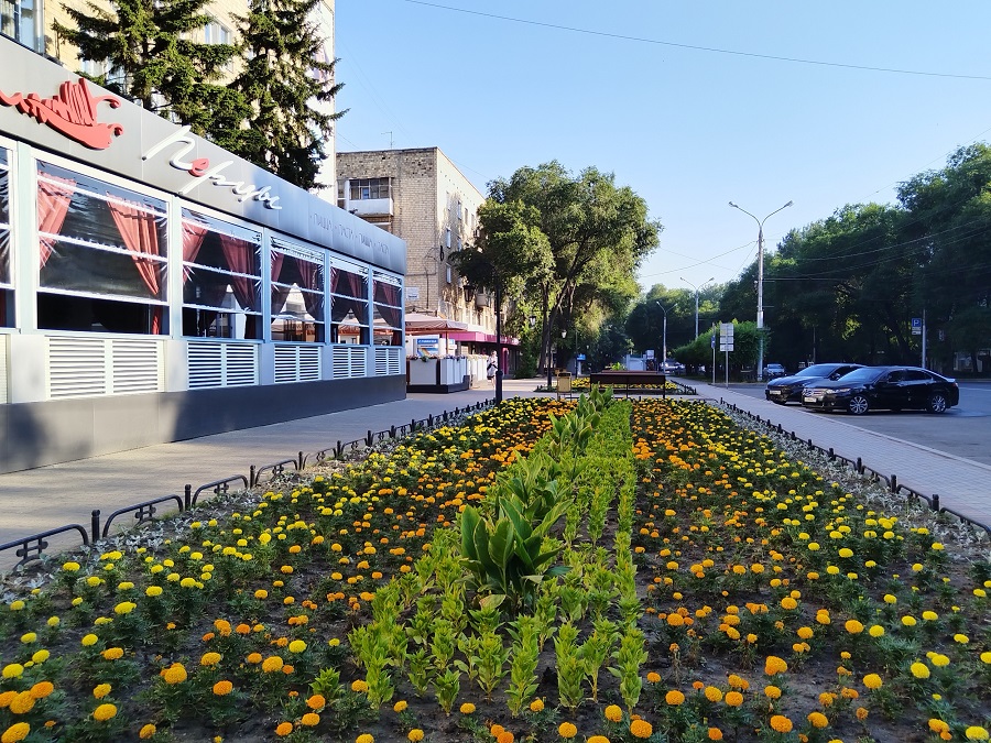 В столице Хакасии выберут лучших цветоводов