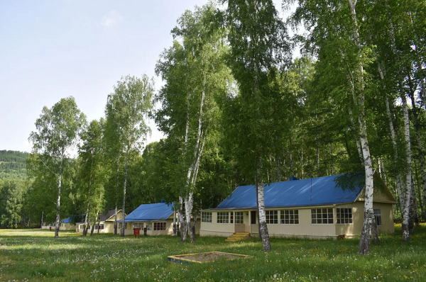 berezka lager