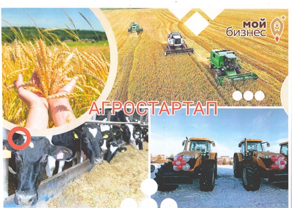 Agrostartap