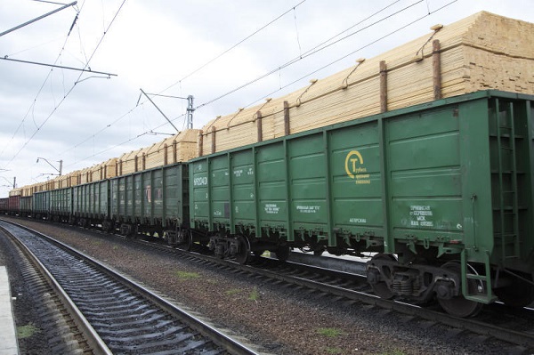 drevesina eksp