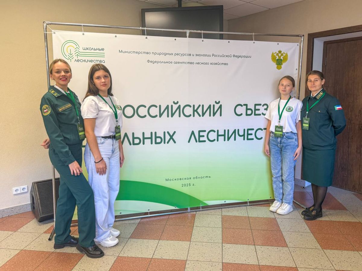 sezd lesnihix