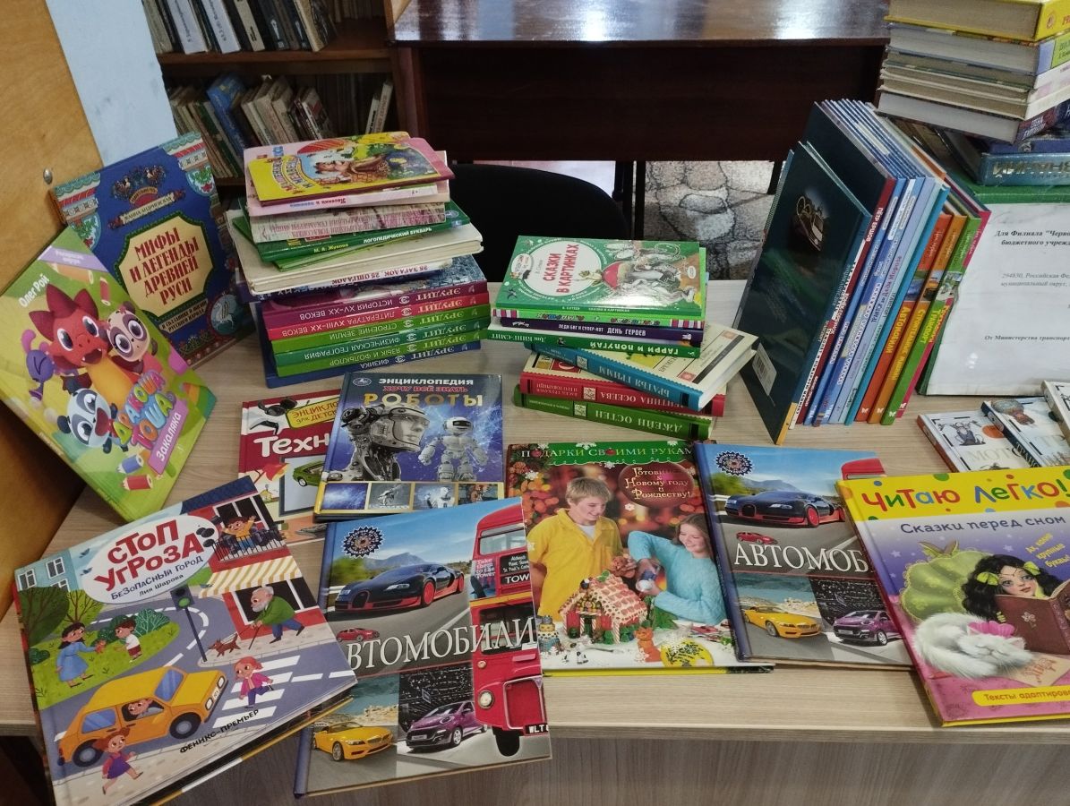 Библиотека в ЛНР получила из Хакасии 8 коробок с книгами