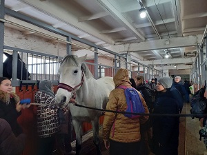 Ученики абаканской школы будут заниматься конным спортом