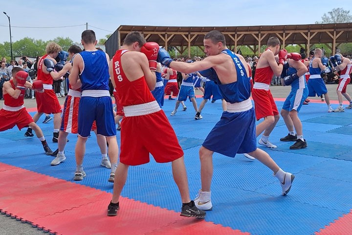 edinoborstva