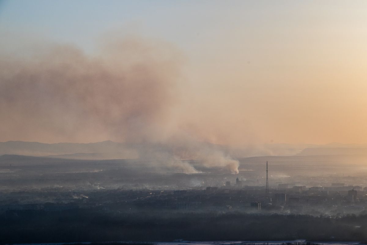 Abakan veter