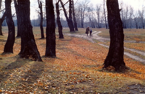 Фото: Владимир Азаренков / администрации Абакана osen admab