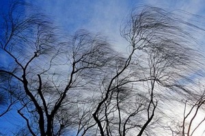 Сильный ветер ожидается в Хакасии