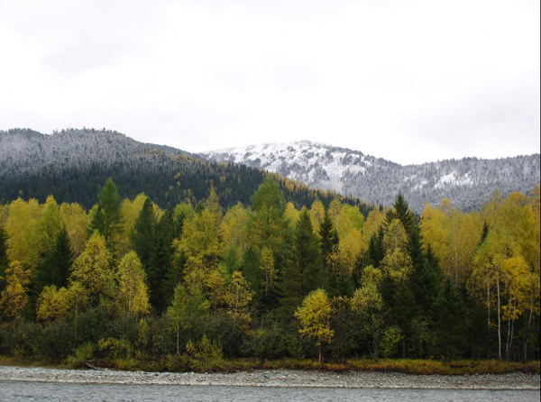 zapovednik tacht